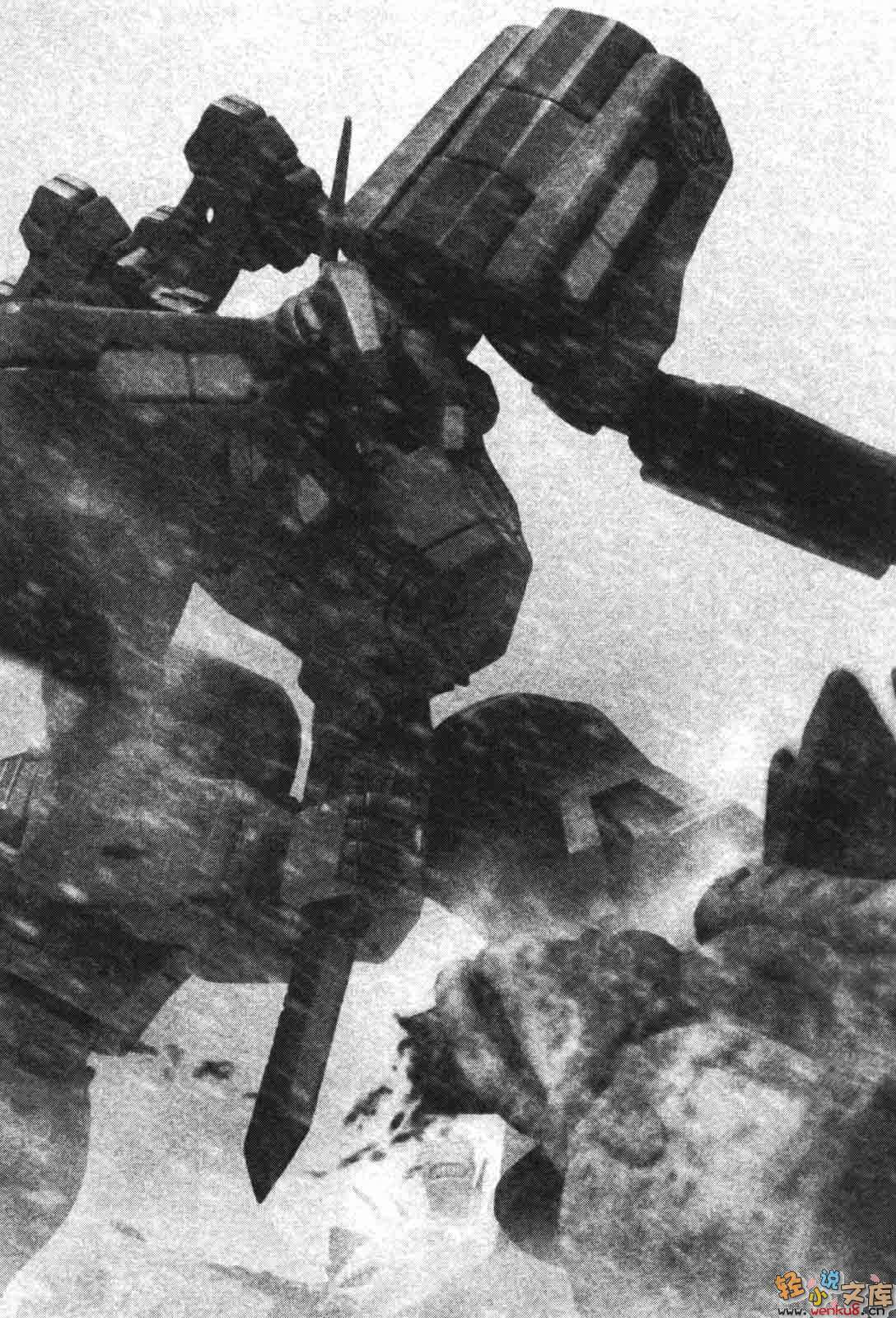 《MUV-LUV Schwarzes marken》5 插图（17）