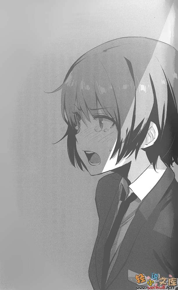 《雙胞胎與青梅竹馬的四人命案》4 插圖（13）