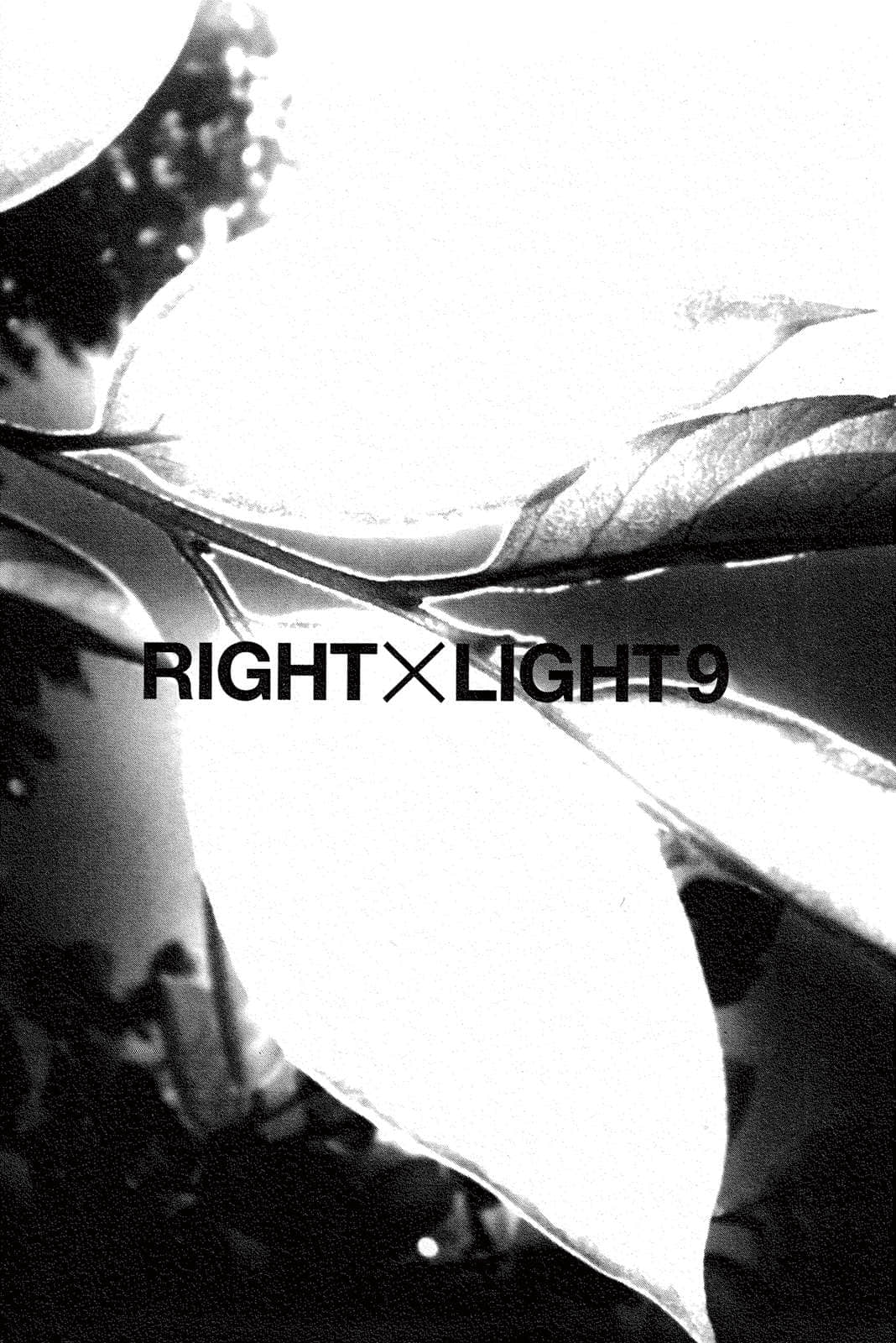 《RIGHT×LIGHT》9 结束的宴会与绿翼的宣告者 插图（5）