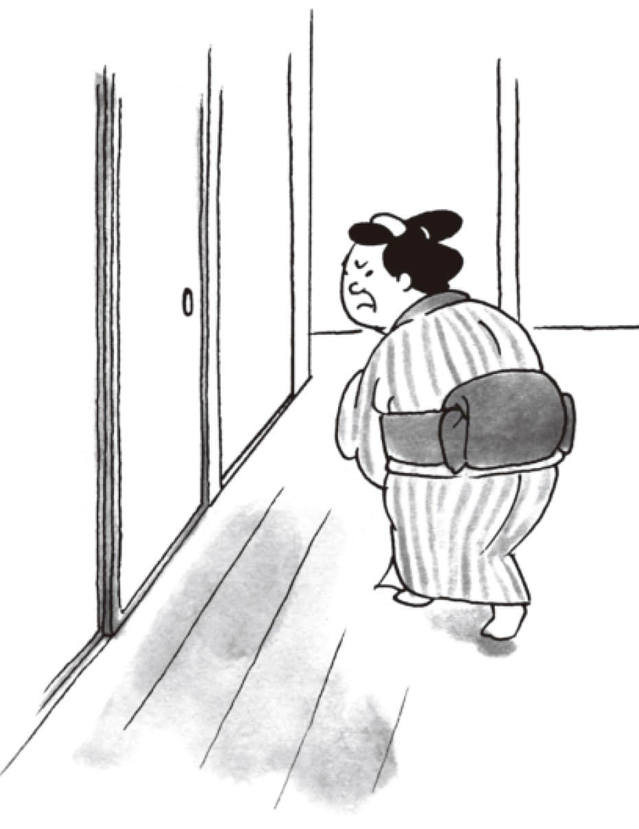 落樱缤纷小说插图（13）