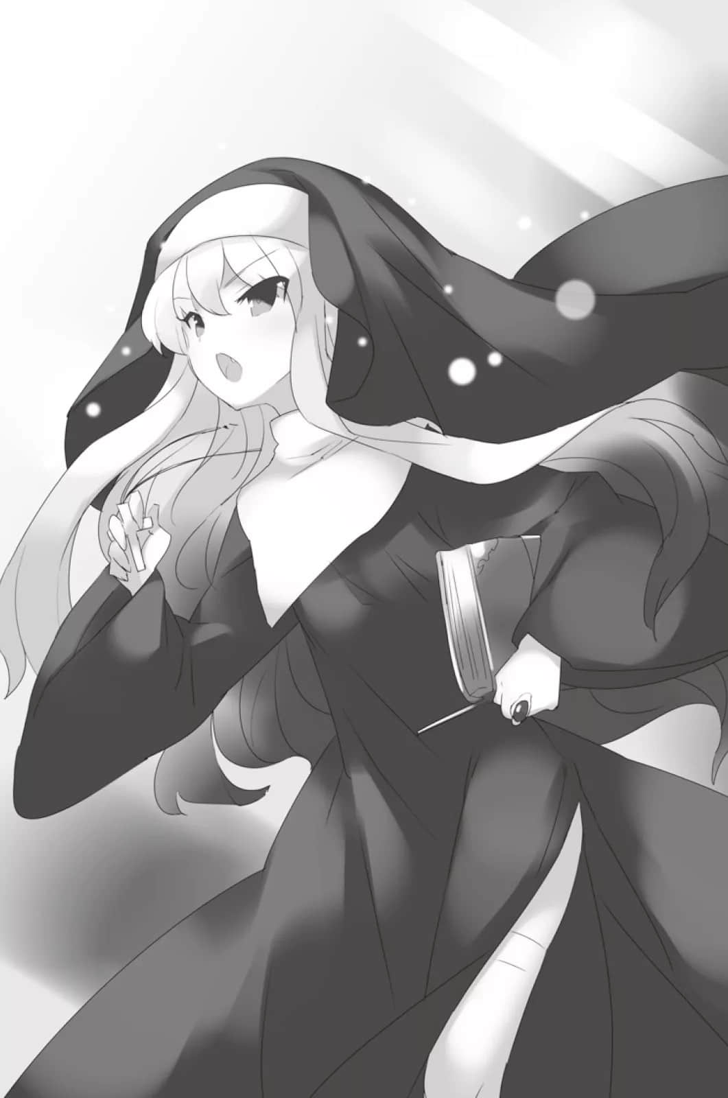 零之使魔小说插图（231）