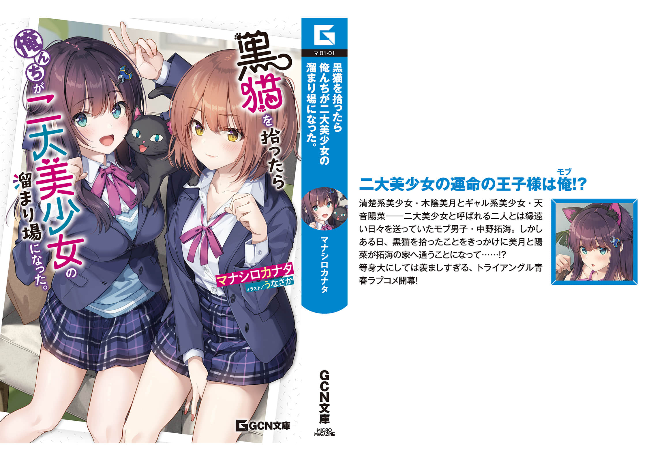 《捡到黑猫后，我家成了两大美少女的聚集地》1 后记插图（2）