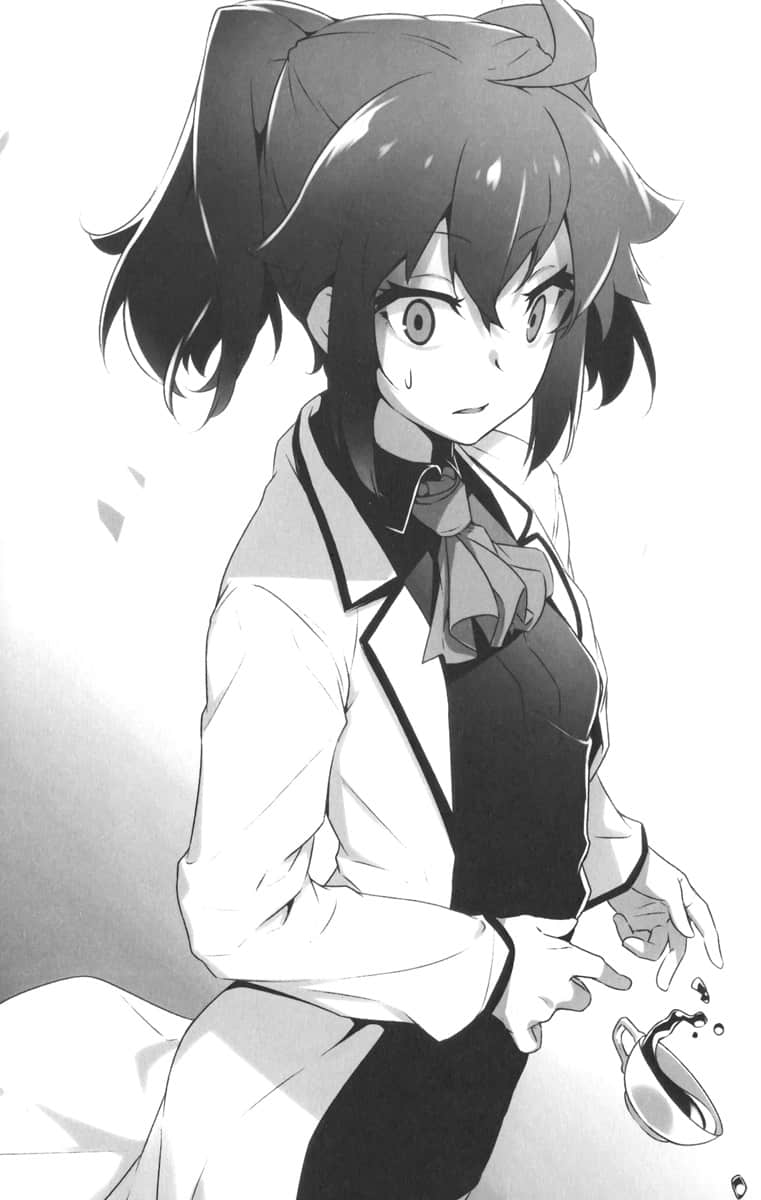 《弗雷姆王国兴亡记》5 插图（10）