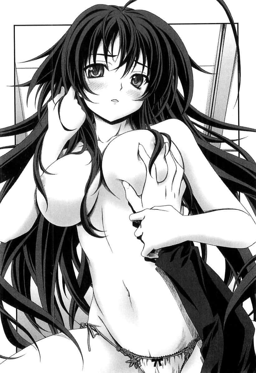 《恶魔高校DxD》2 战斗校舍的不死鸟 插图(5)