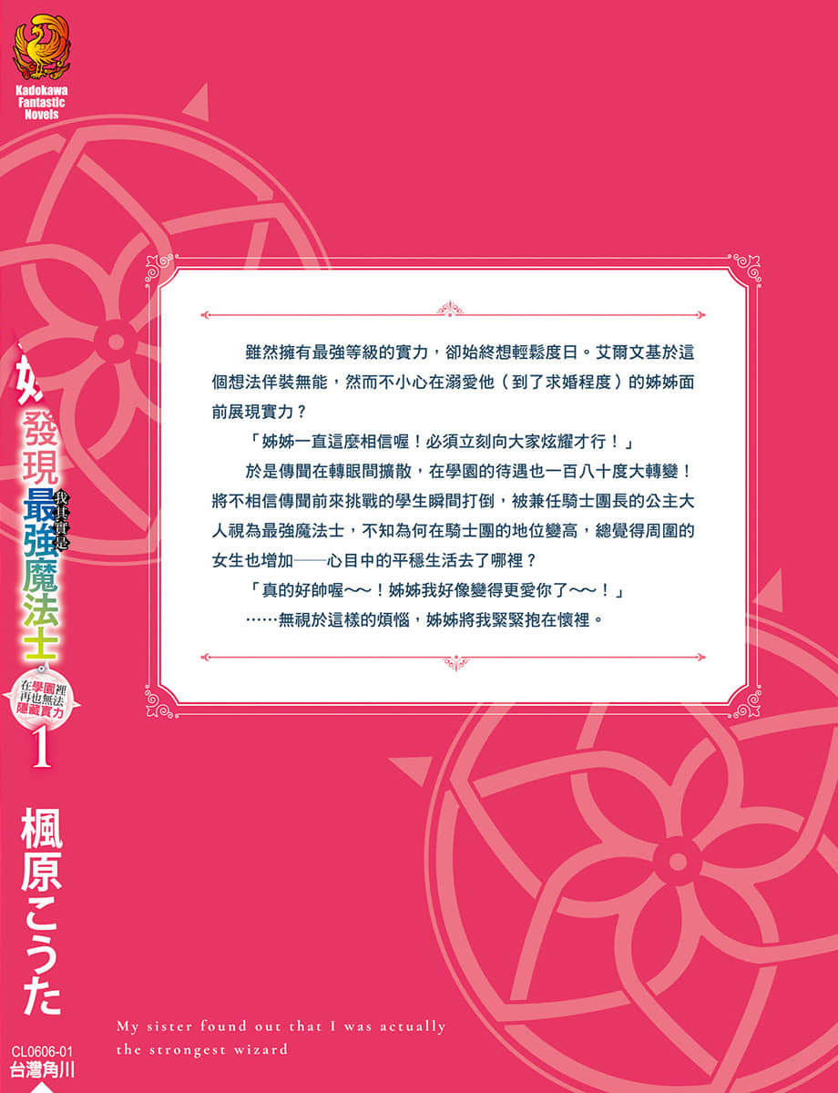 被弟控姐姐发现我其实是最强魔法士。在学园里再也无法隐藏实力小说插图（13）