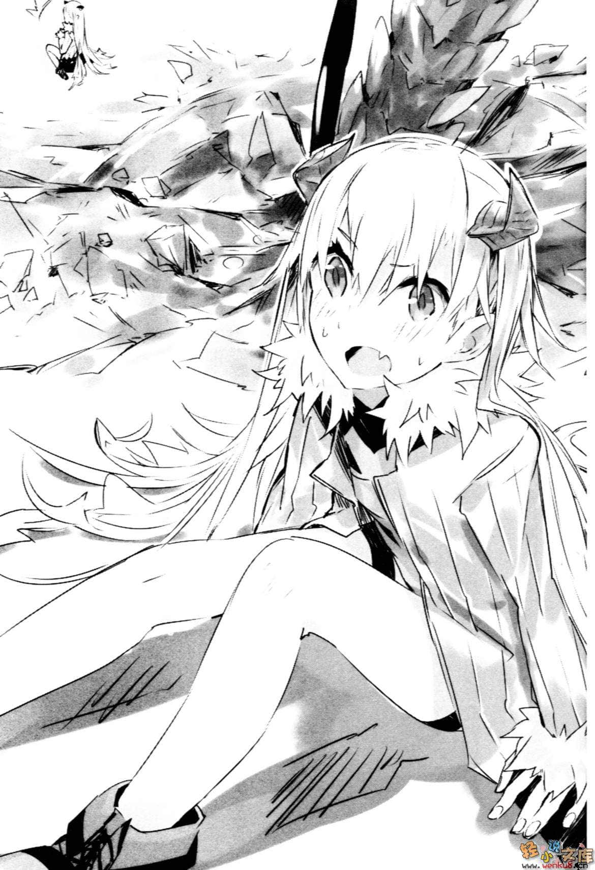 尼特狮子红圣女小说插图（28）