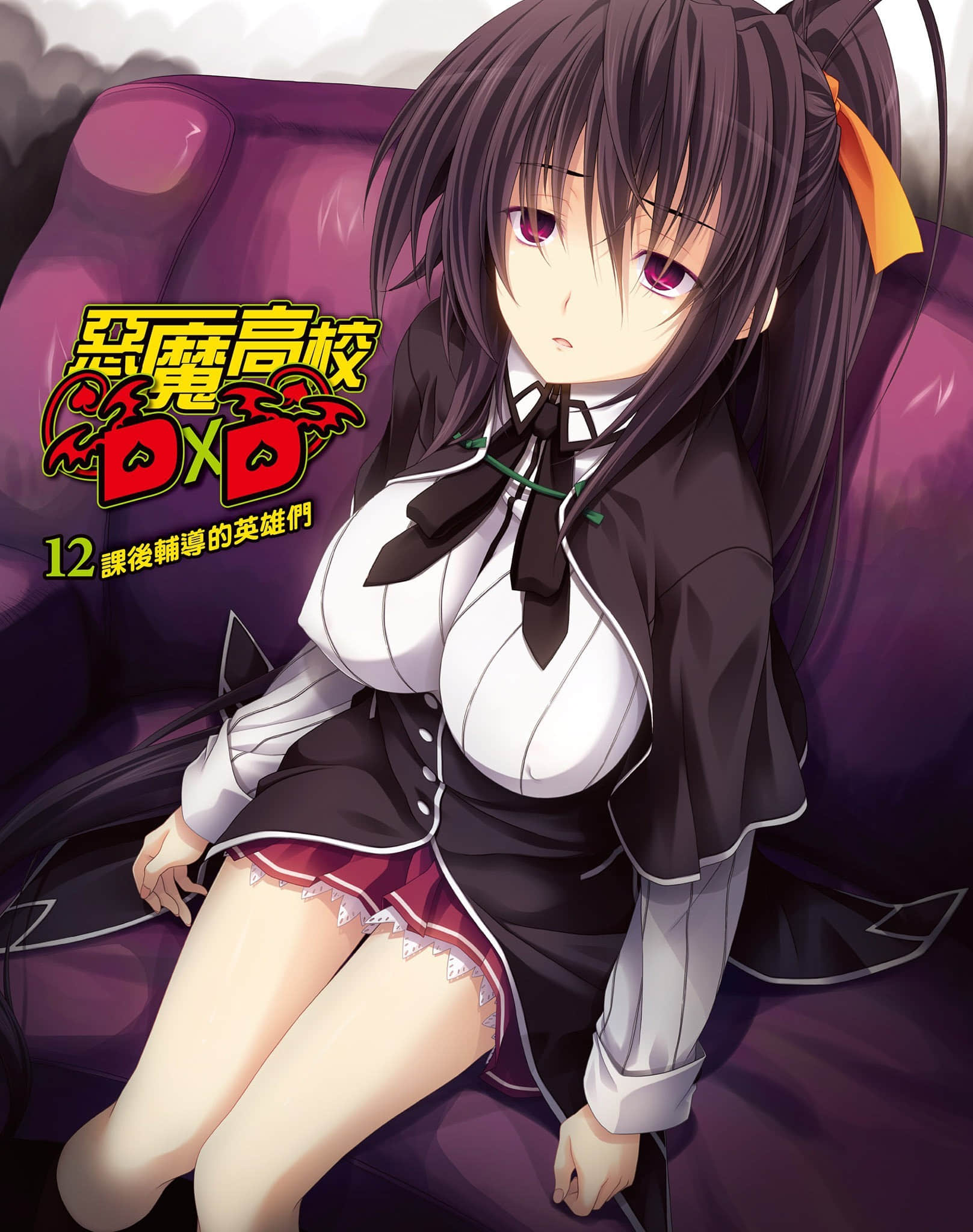 《恶魔高校DxD》12 课后辅导的英雄们 插图(2)