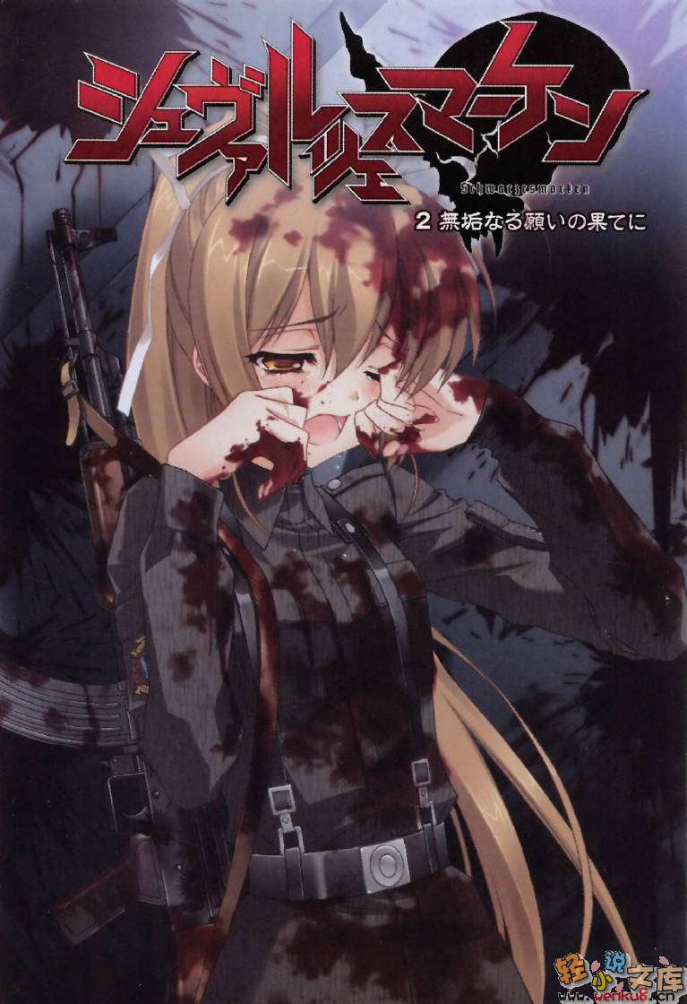 《MUV-LUV Schwarzes marken》2 插图（2）