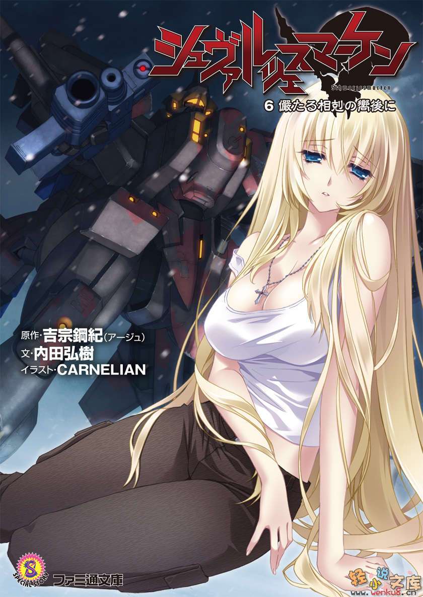 《MUV-LUV Schwarzes marken》6 插图（1）