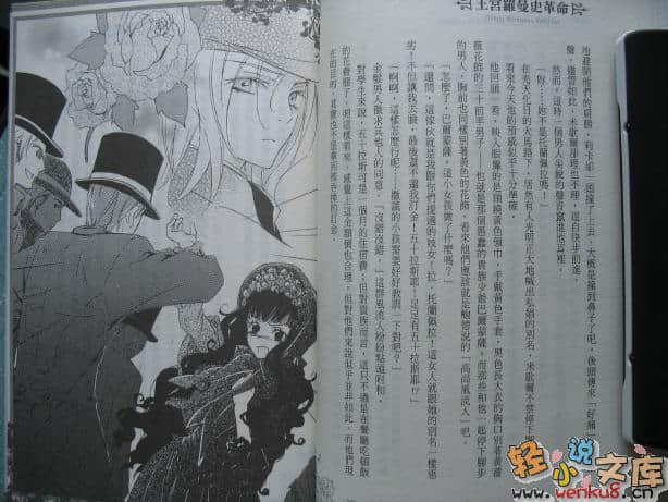 王宫罗曼史革命小说插图（45）