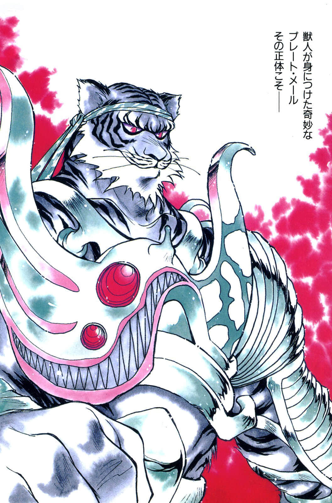 《Slayers！秀逗魔法士》5 白银的魔兽 插图（4）