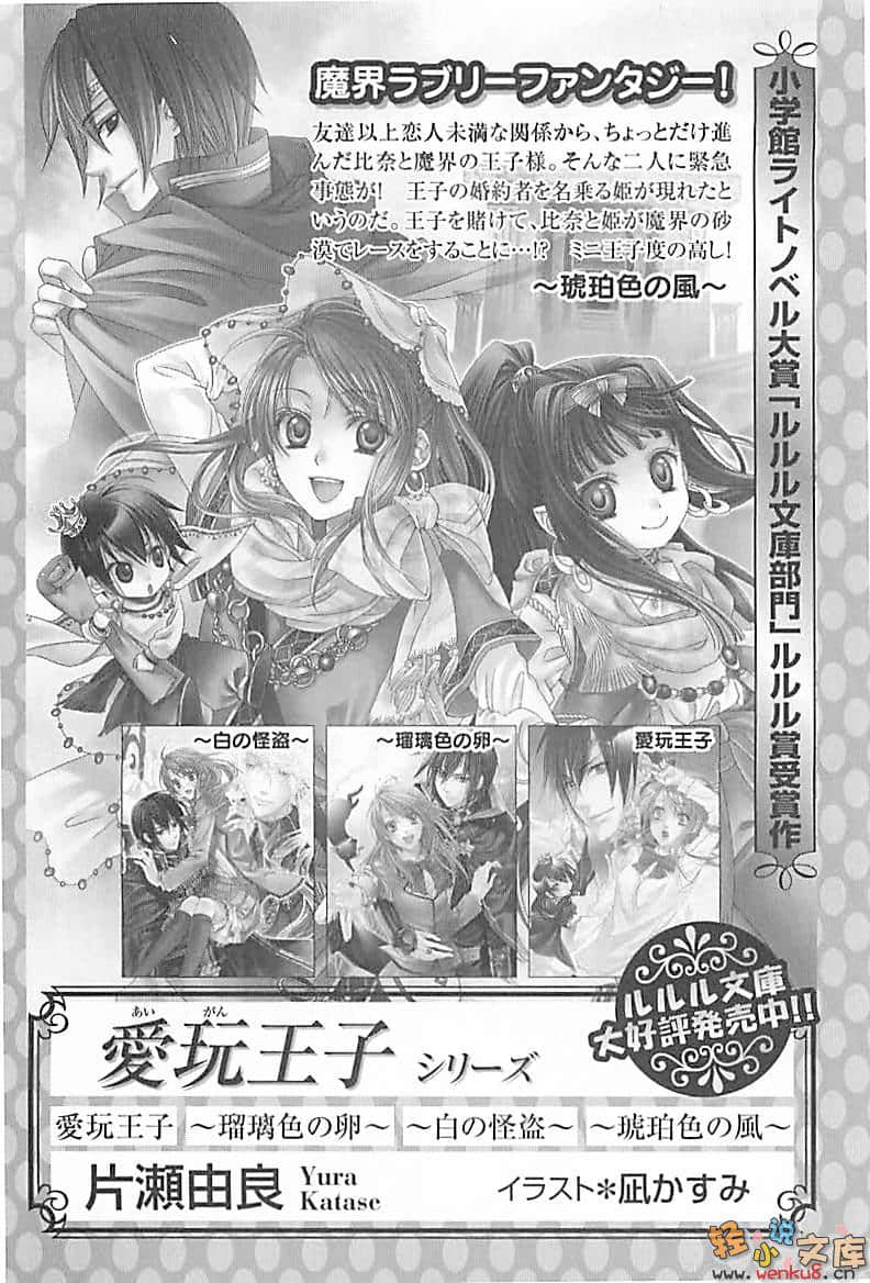 《愛玩王子》3 白色怪盜 插圖（14）