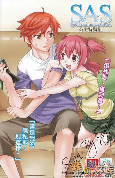 《SAS公主特勤组》2 插图（2）