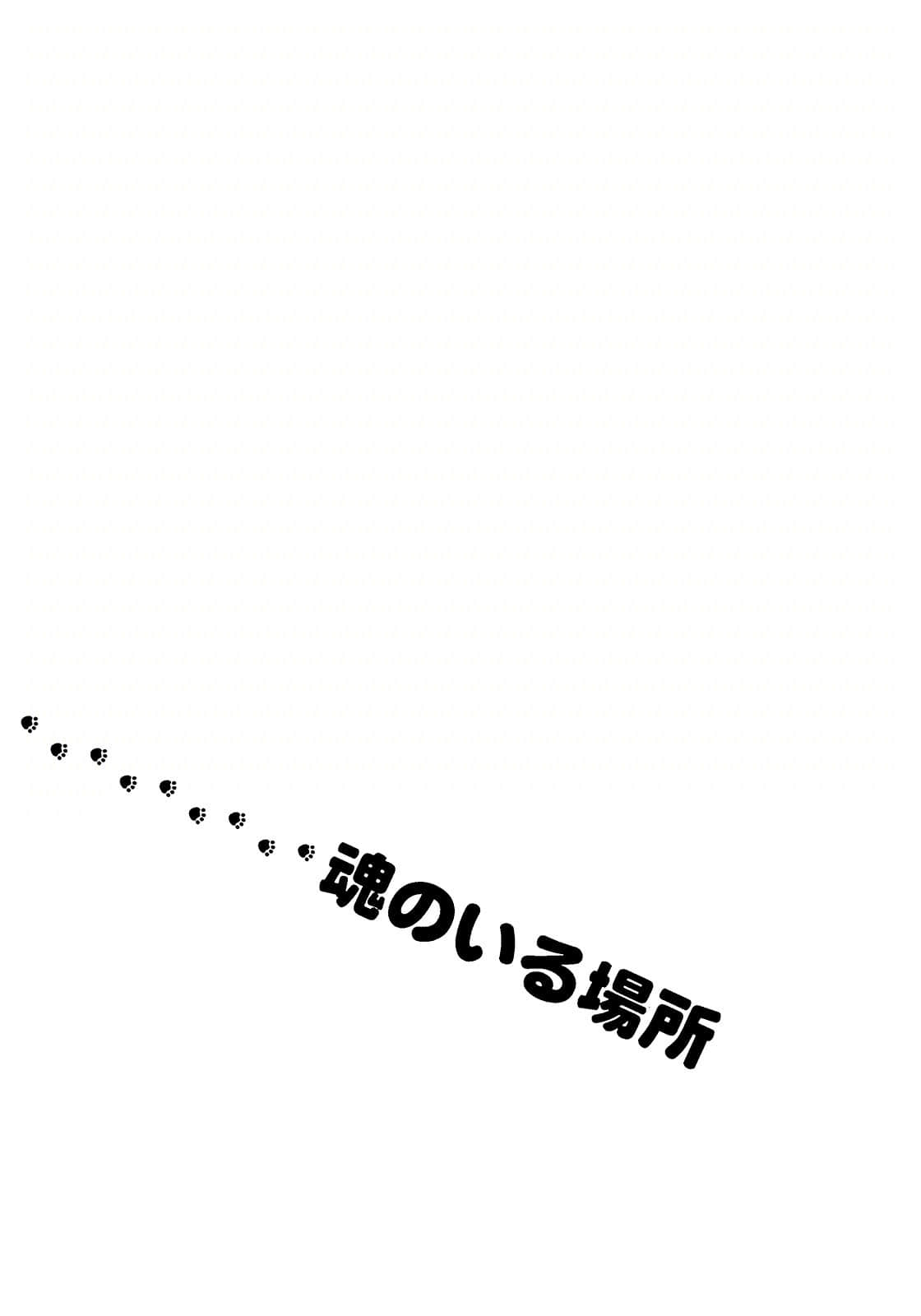 猫的地球仪小说插图（18）