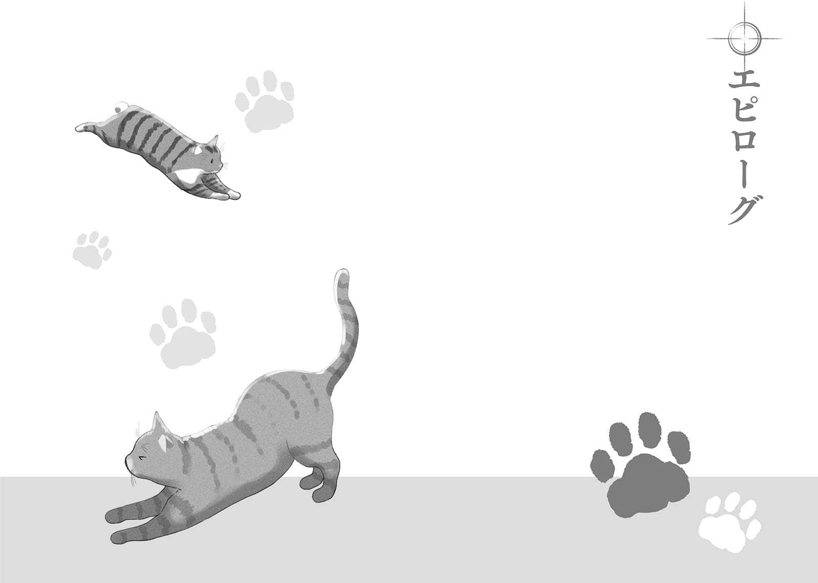 《在这得说猫语》全一册 插图（27）
