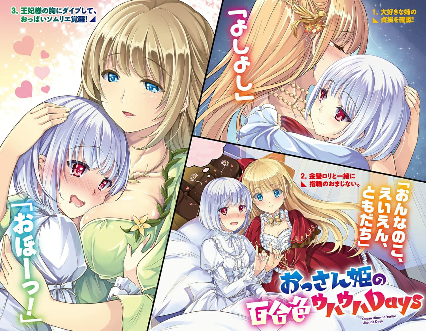 夜伽之國的月光姬小說插圖（10）
