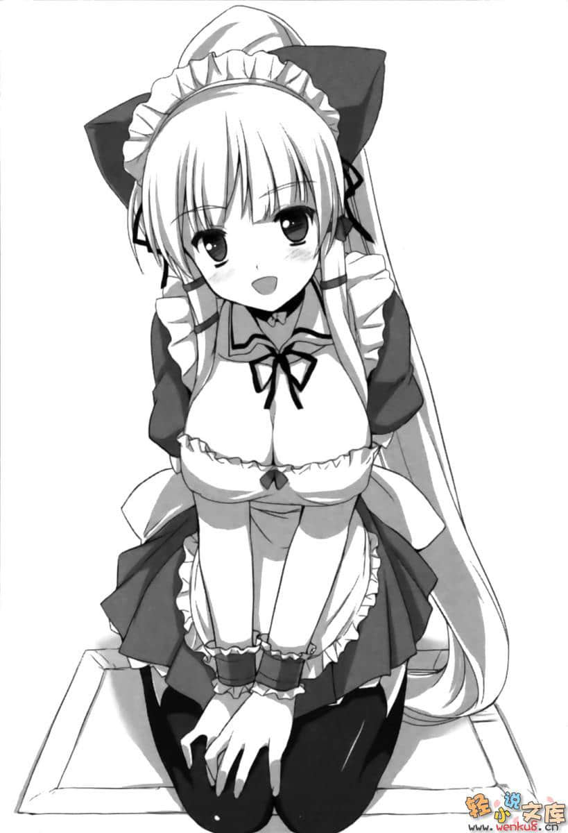 主人和女仆大人小说插图（11）