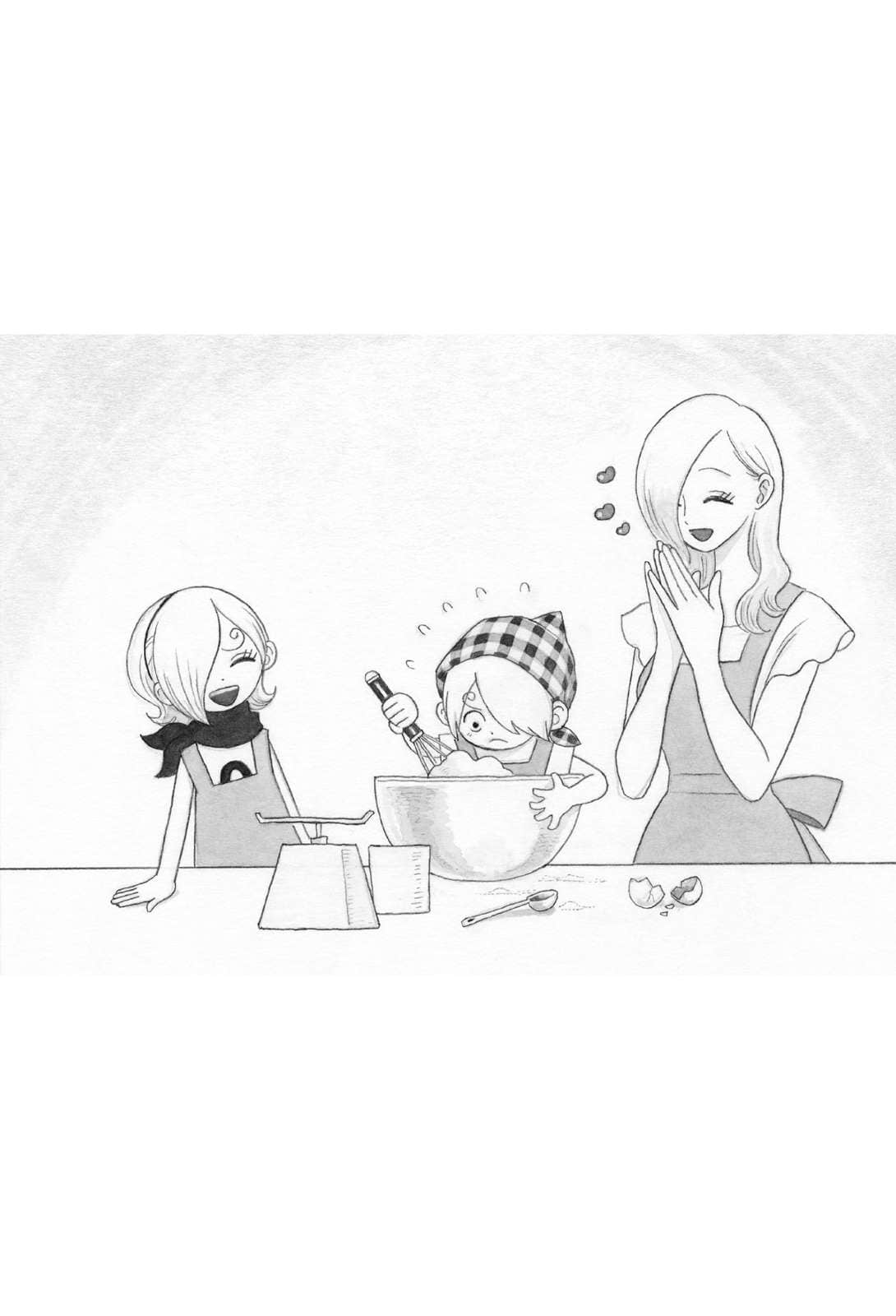 《ONE PIECE novel HEROINES 航海王 女英雄们的故事》2 Colorful 插图（23）