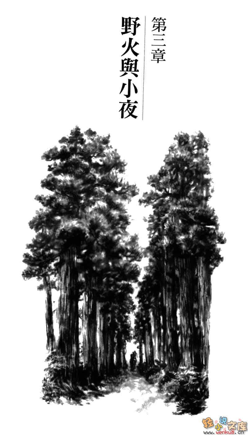 狐笛的彼方小说插图（1）