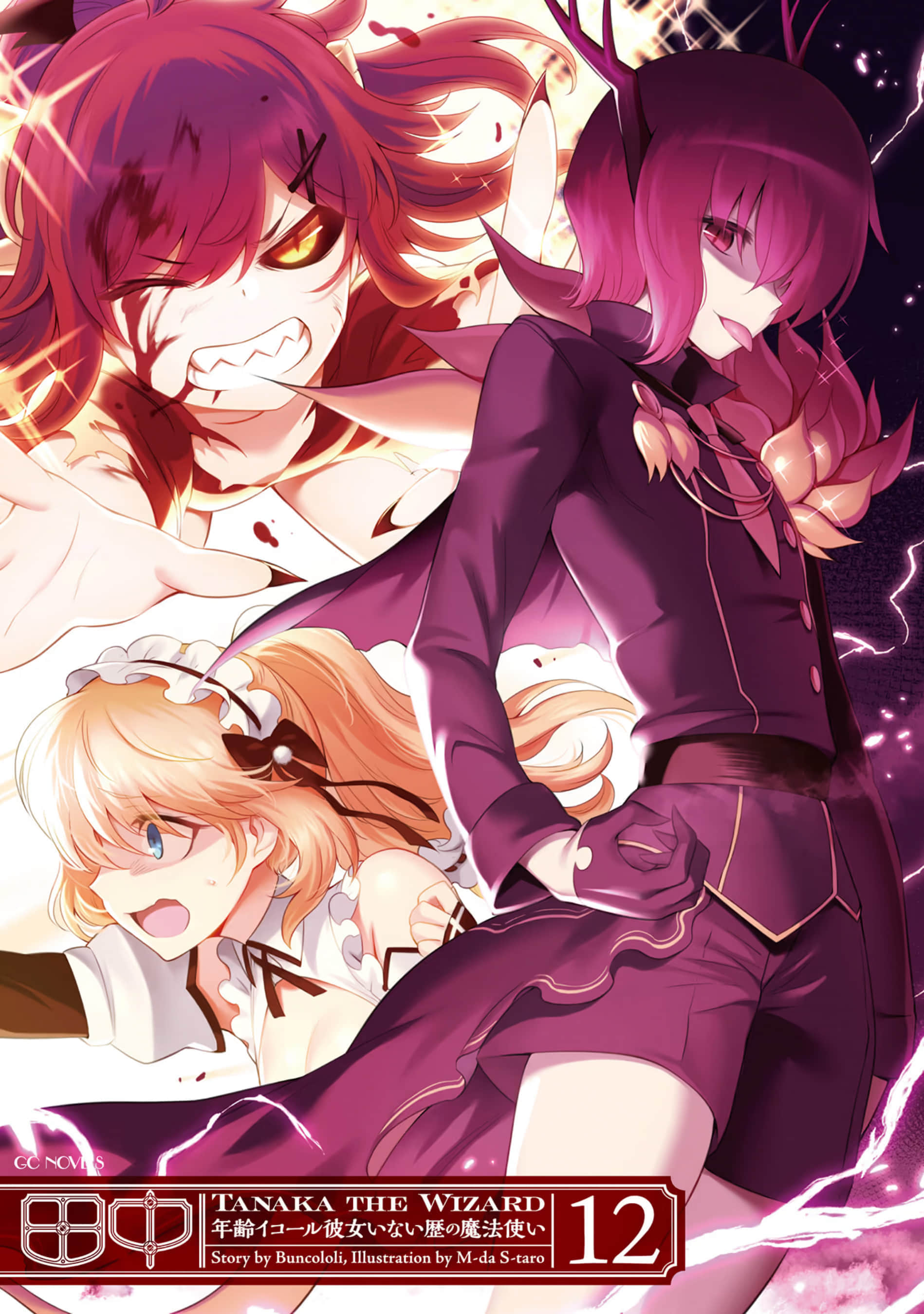 《田中 ～年龄等于单身资历的魔法师～》12 插图（2）