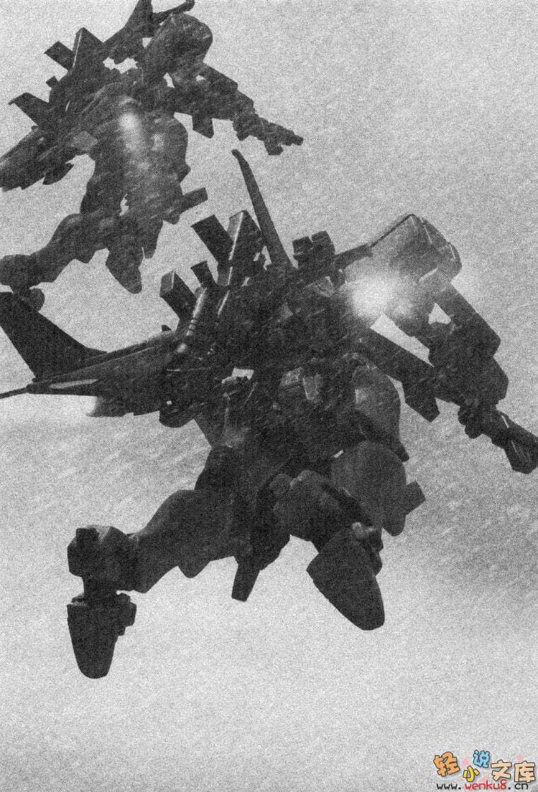 《MUV-LUV Schwarzes marken》2 插图（30）
