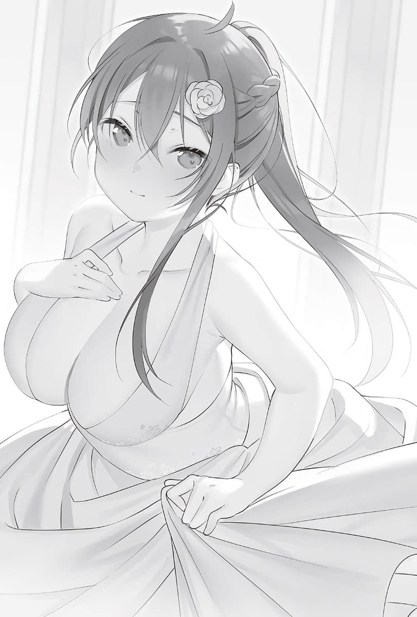 《妹妹進入女騎士學園就讀，不知爲何成爲救國英雄的人竟是我。》1 插圖（11）