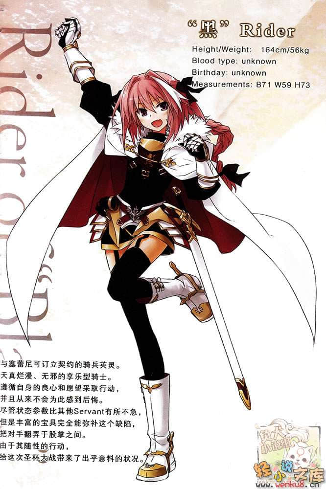 Fate Apocrypha小说插图（38）