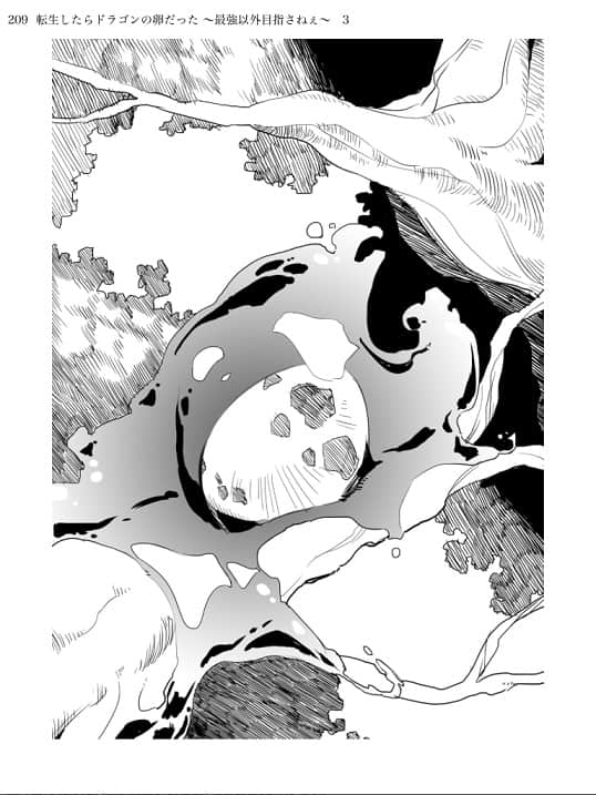 转生龙蛋 ～目标只有最强小说插图（39）