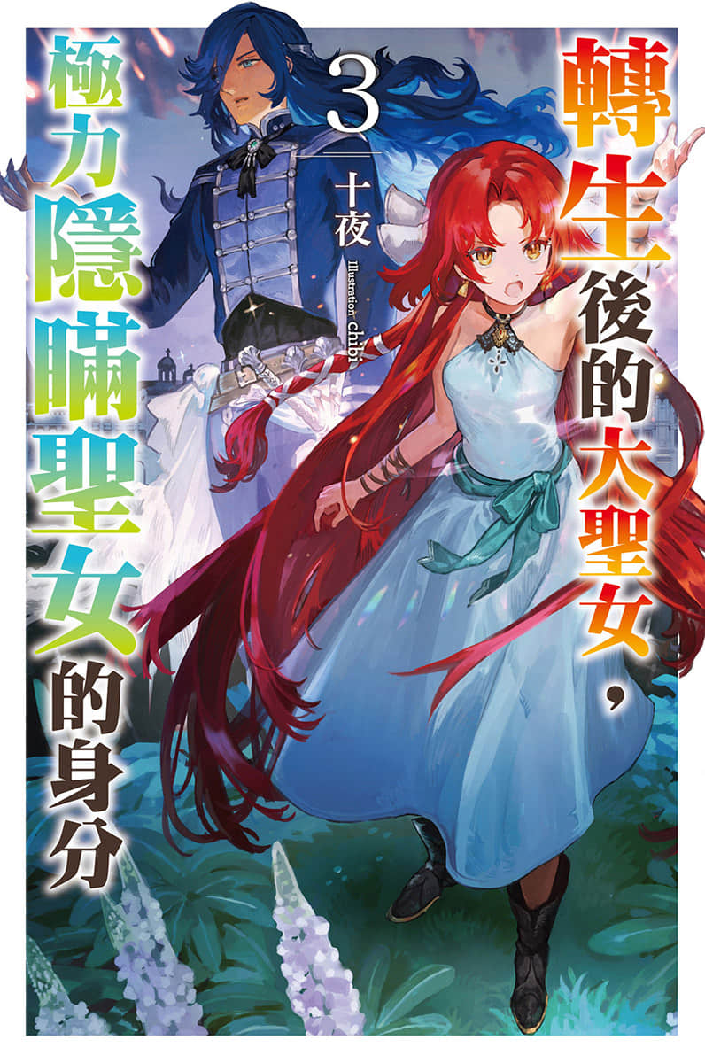 轉生後的大聖女，極力隱瞞聖女的身分小說插圖（26）