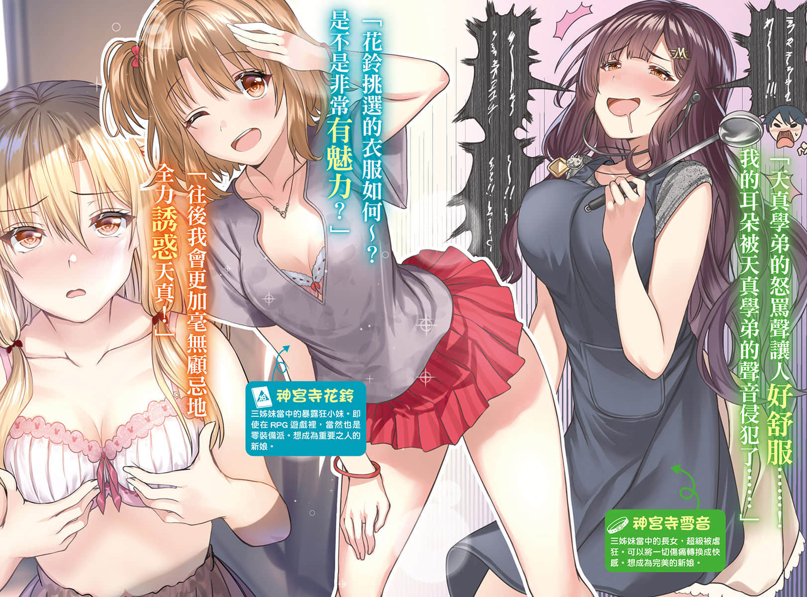 《就算是有点色色的三姊妹，你也愿意娶回家吗？》4 插图（3）