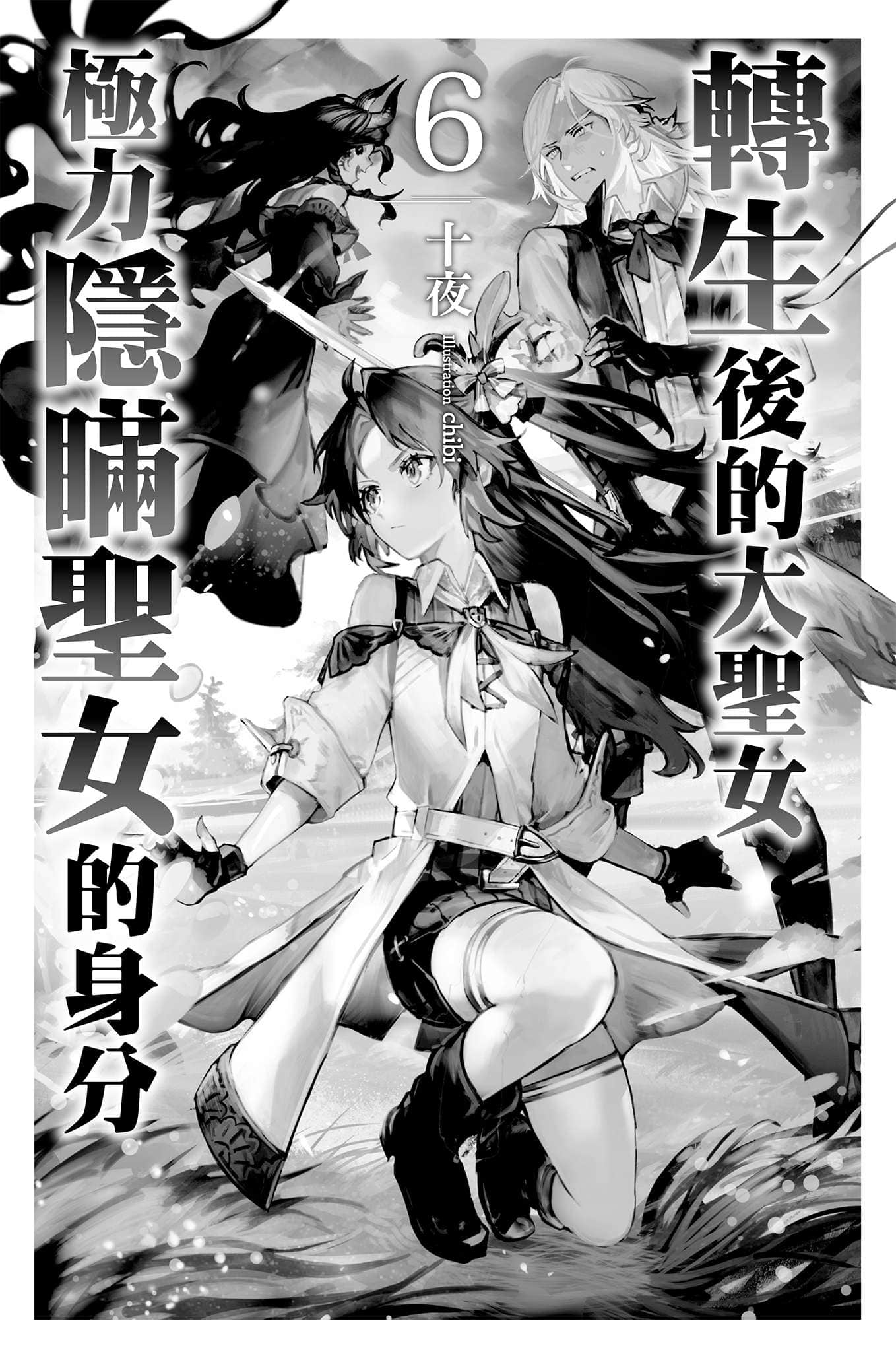 《转生后的大圣女，极力隐瞒圣女的身分》6 插图（4）
