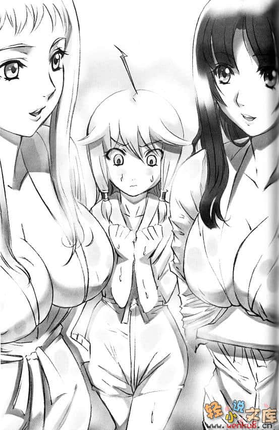 女王之刃小说插图（4）