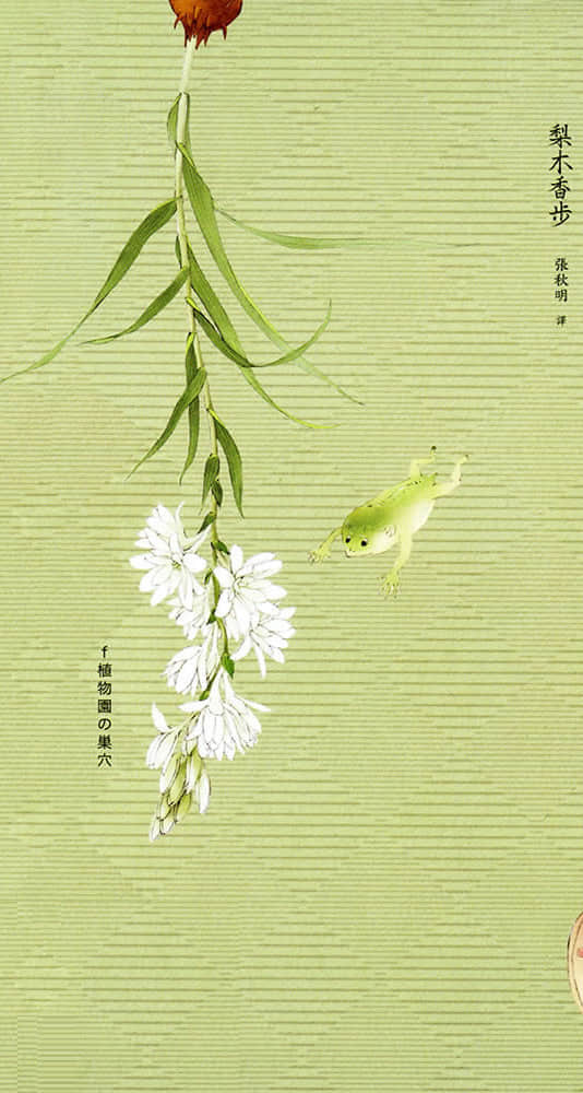 植物园的巢穴小说插图（8）