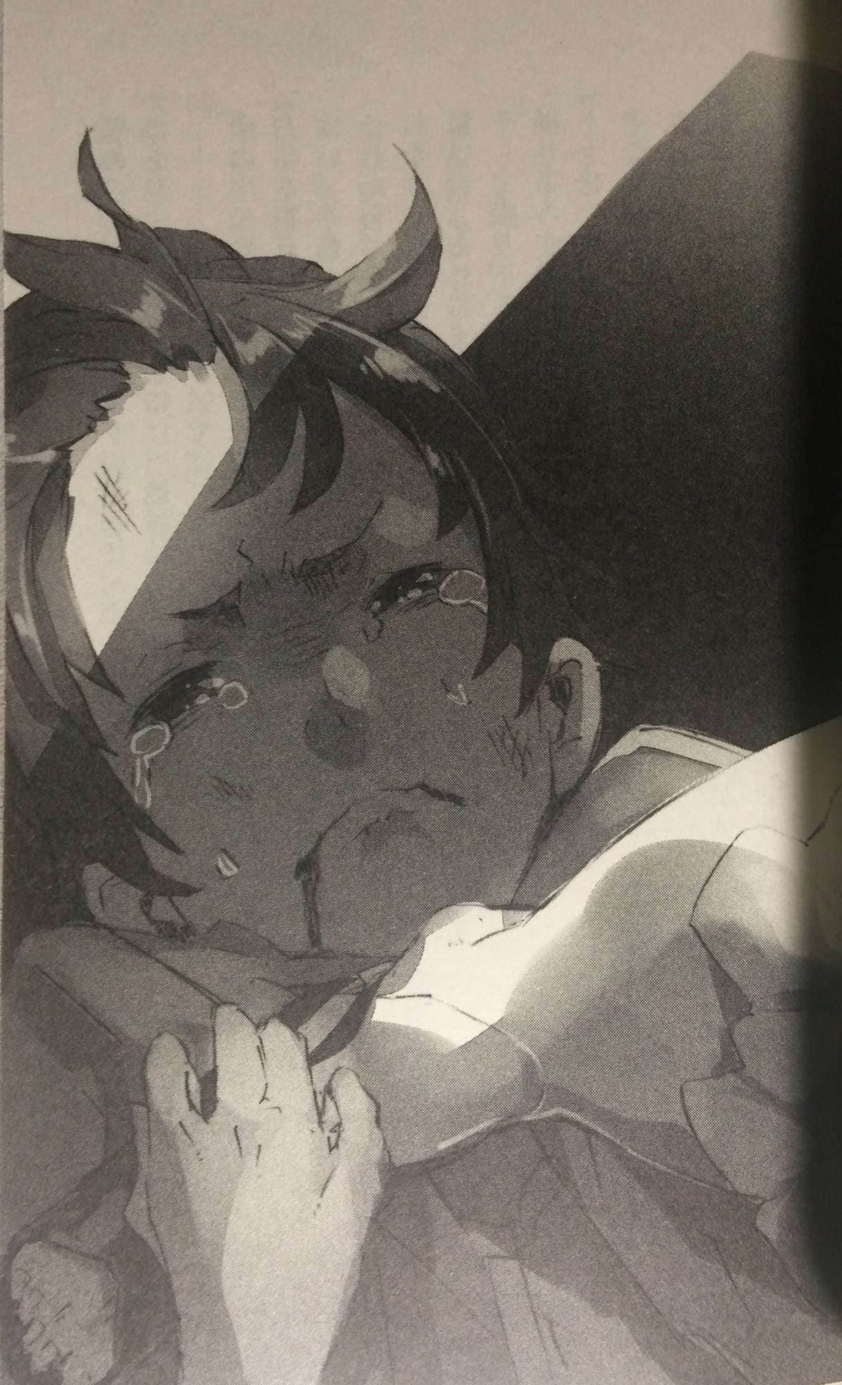 《OUTBREAK COMPANY 萌萌侵略者》12 插图（10）