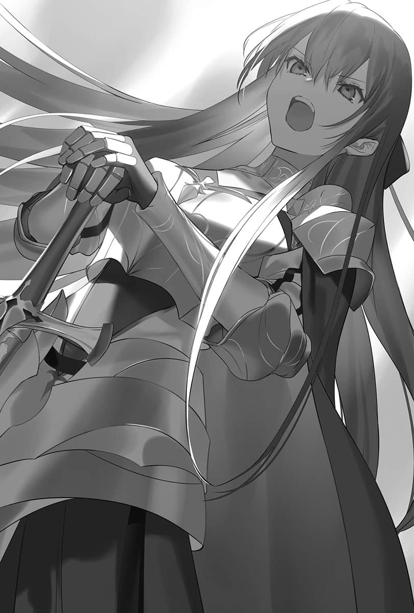 公主骑士的小白脸小说插图（72）