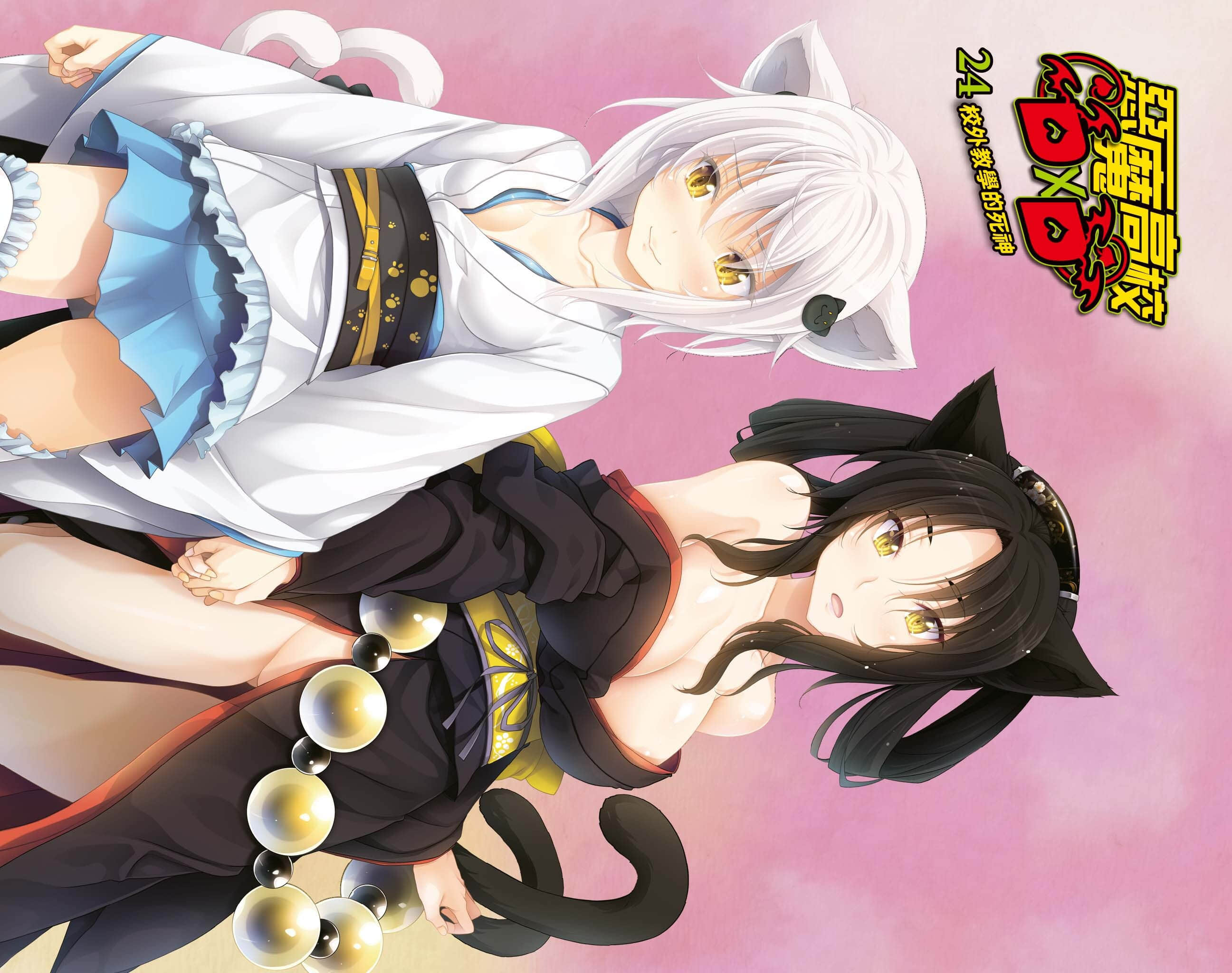 《恶魔高校DxD》24 校外教学的死神 插图（2）