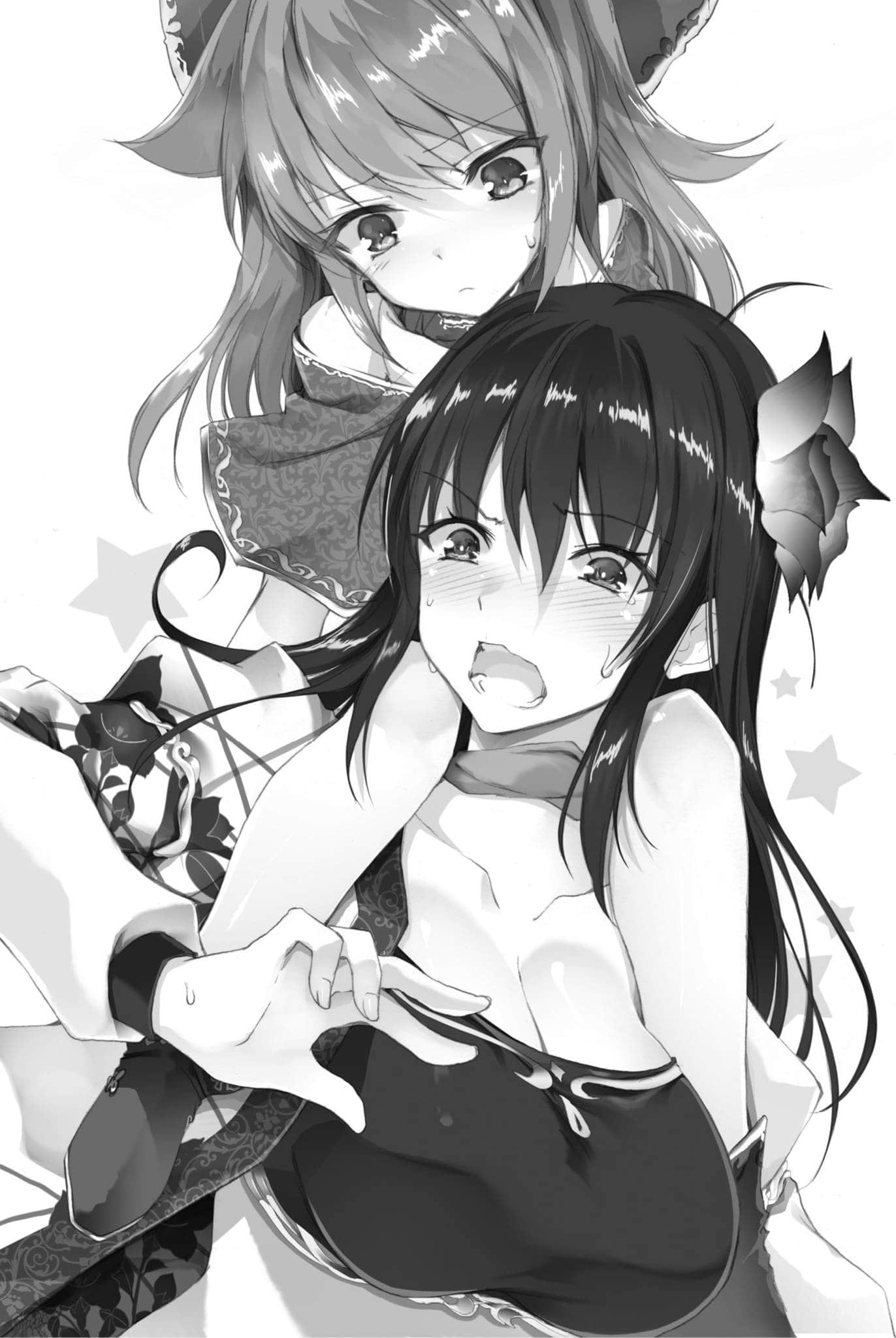 真·三国志妹小说插图（21）