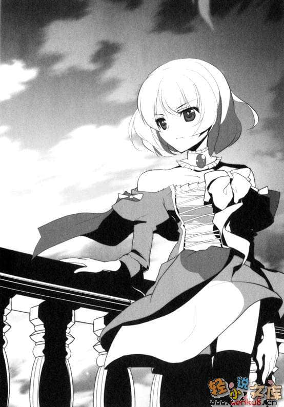 魔弹之王与战姬小说插图（89）