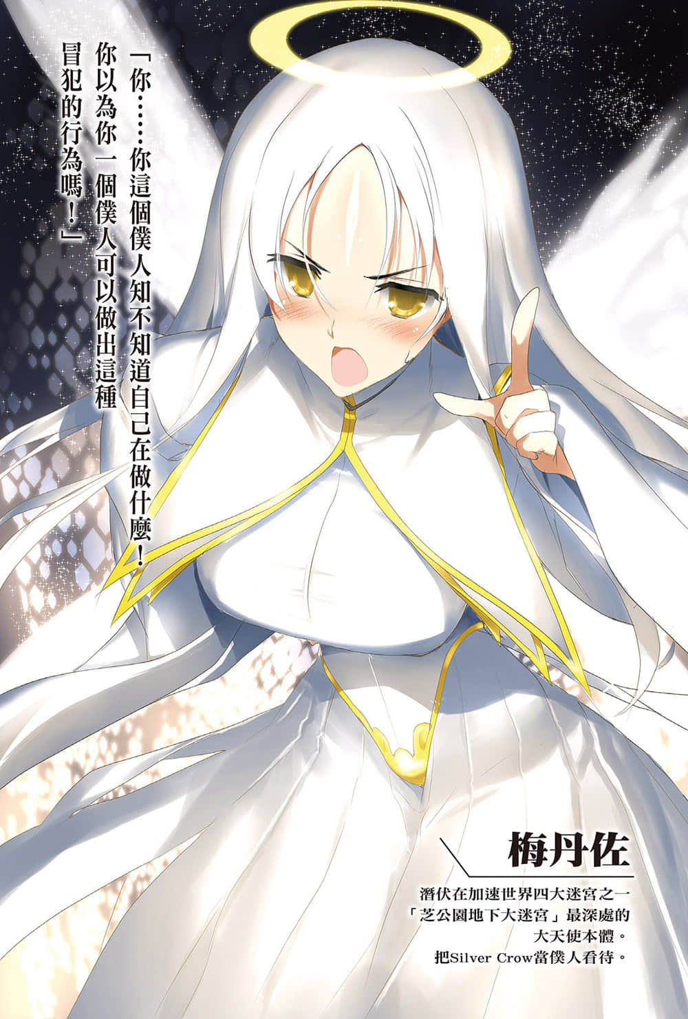 加速世界小說插圖（339）