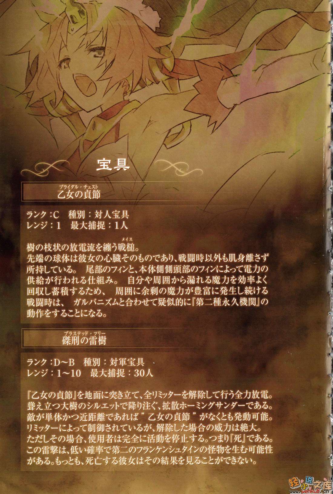 Fate Apocrypha小说插图（53）