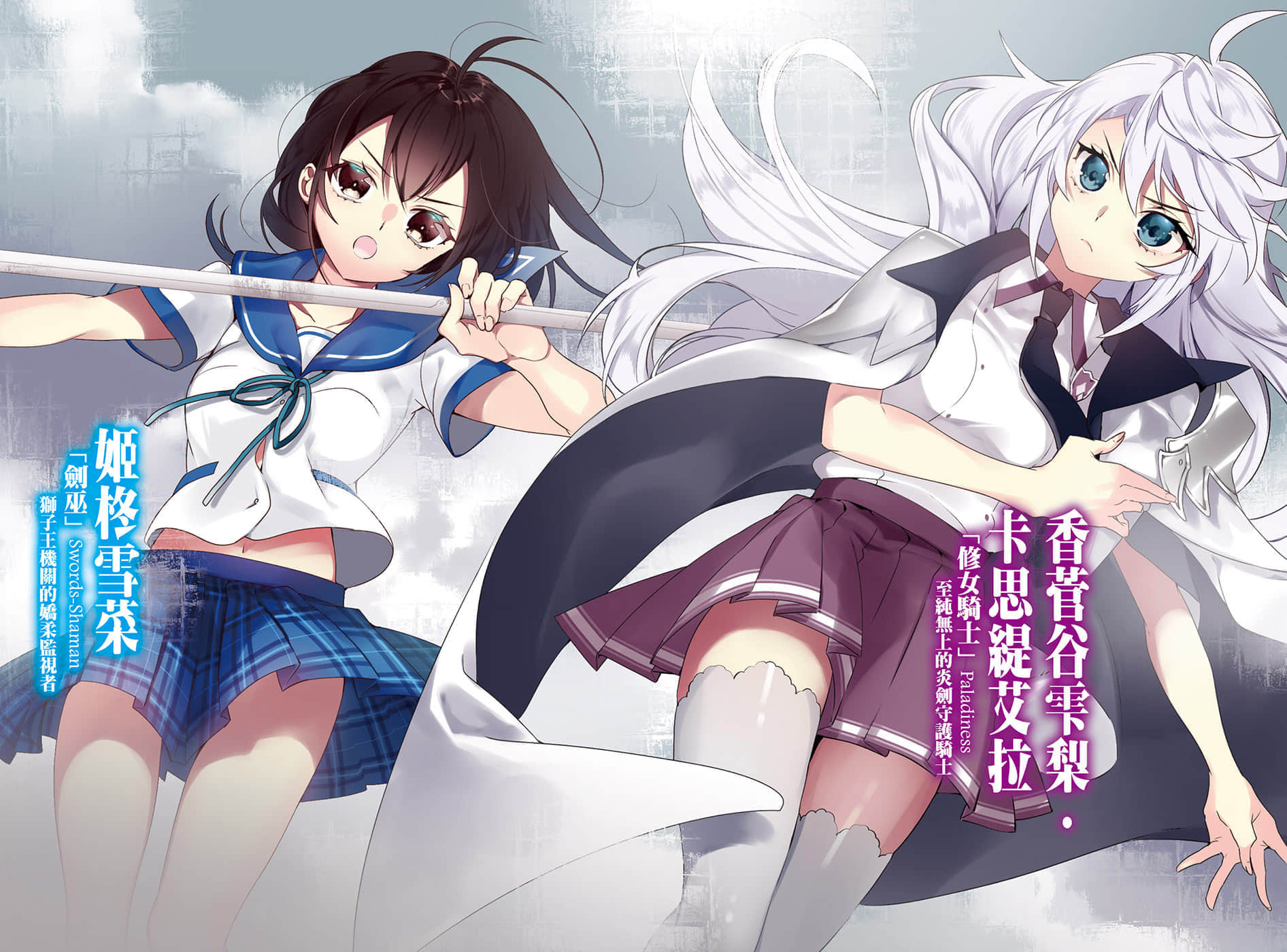 《噬血狂袭 Strike the Blood》20 再会吸血姬 插图（4）