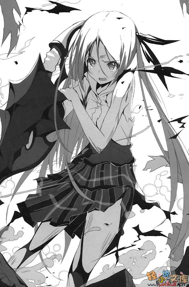 《钢音之剑》3 插图（11）