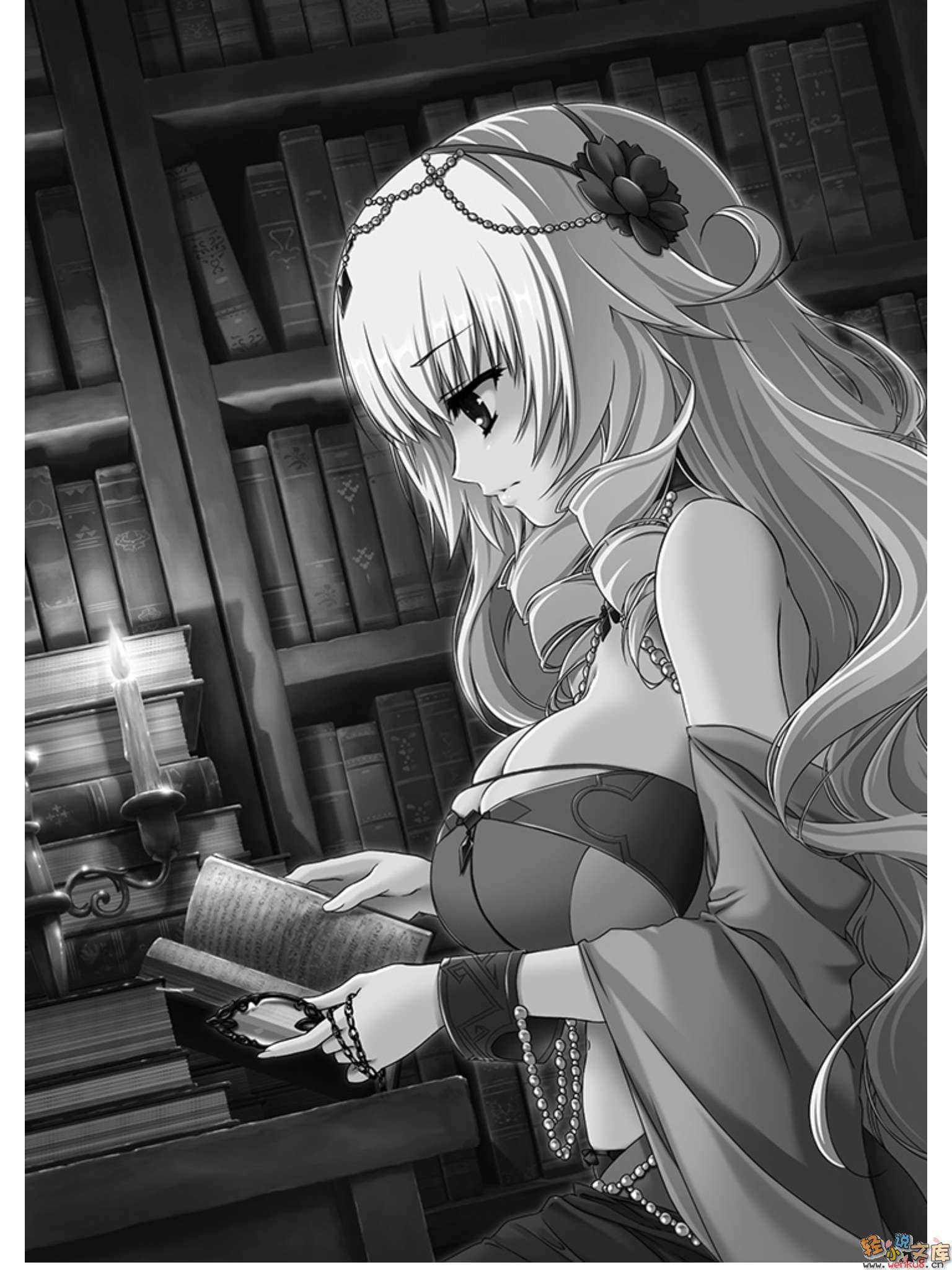《魔弹之王与战姬》10 插图（11）
