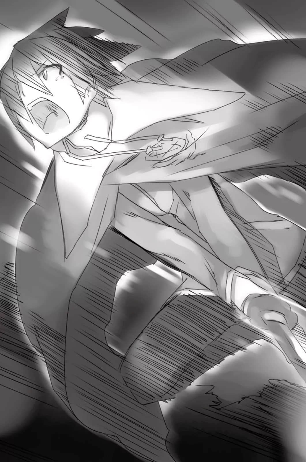 零之使魔小说插图（222）