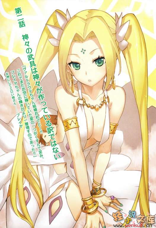 我与女武神的新婚生活小说插图（9）