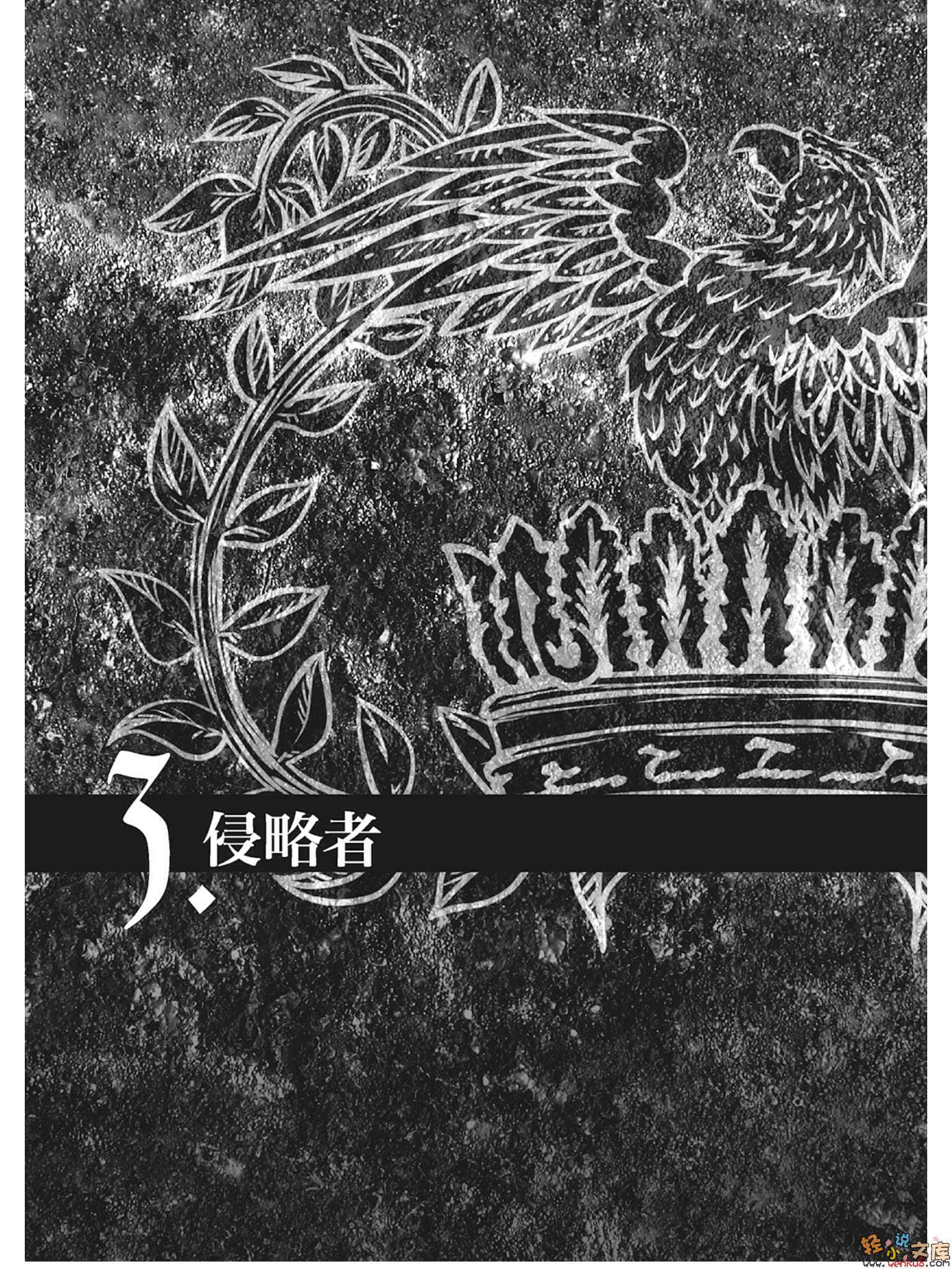 魔彈之王與戰姬小說插圖（133）