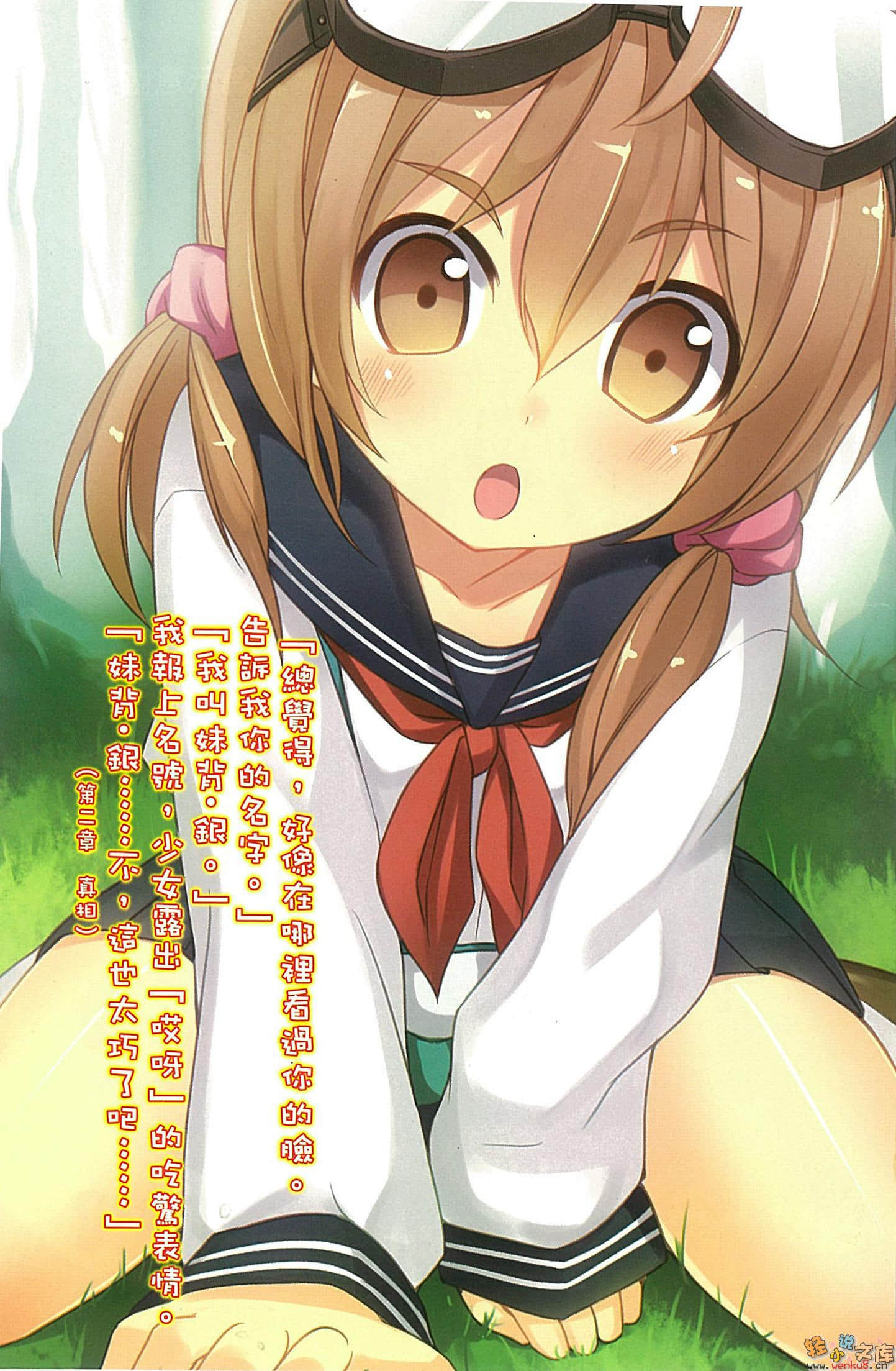 《我的妹妹会读汉字》2 插图（2）