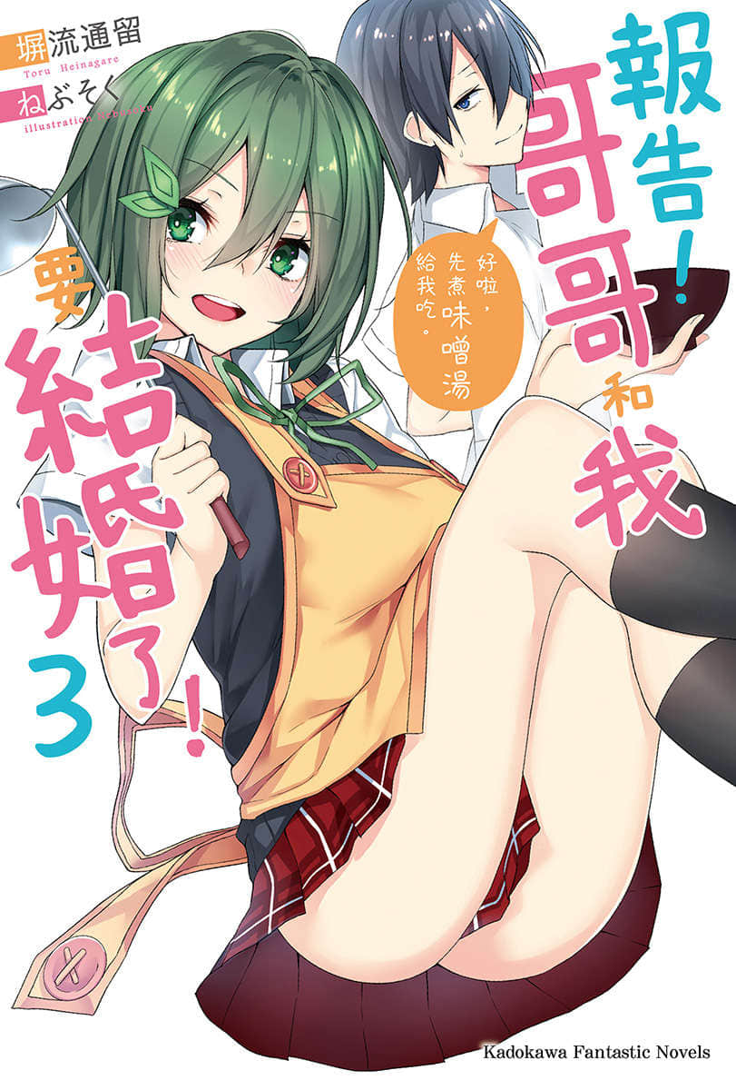 报告！哥哥和我要结婚了！小说插图（45）
