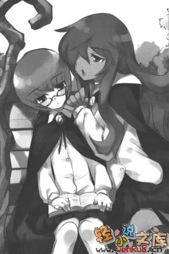 零之使魔外传系列小说插图（10）