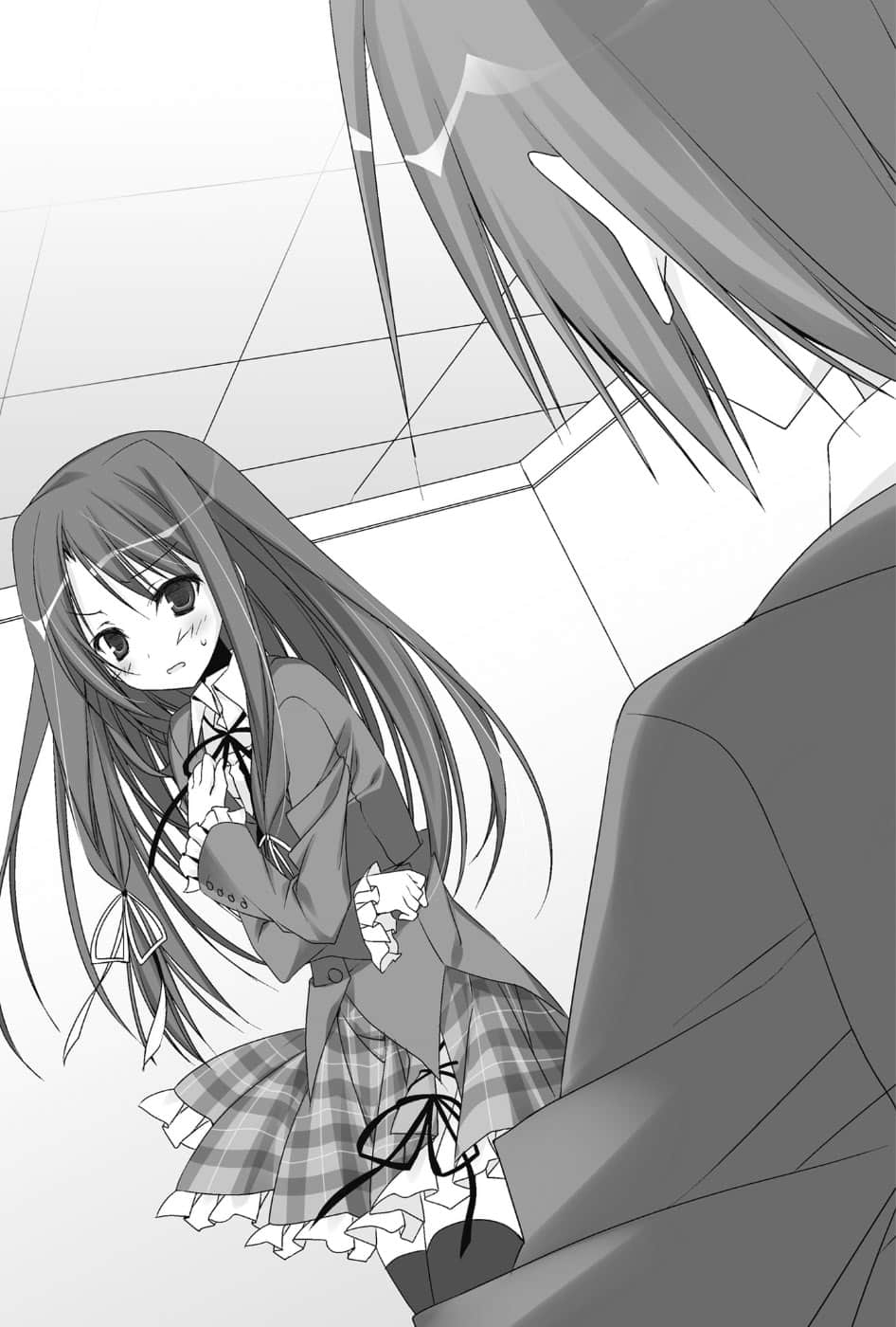 《碧阳学园学生会议事录》后日谈 新学生会的一存〈上〉 插图（5）